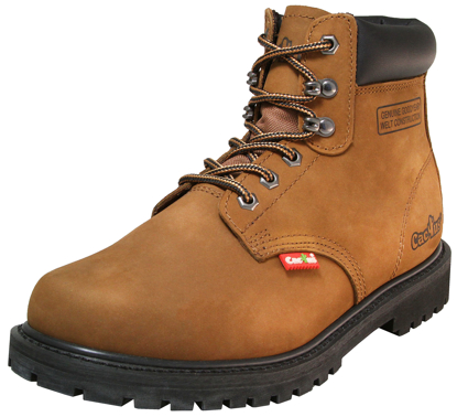 frye cactus boots